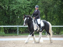 IMG_0907_web